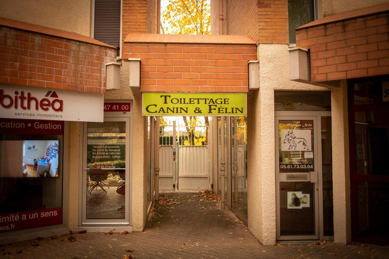 Charmant Studio☆Netflix☆Canal+☆Canal Sat☆Parking☆ Ramonville-Saint-Agne Extérieur photo